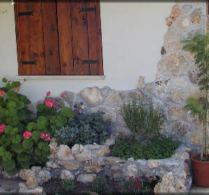 Pietre per giardino roccioso fai da te