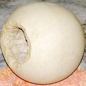 Terminale per colonne in pietra