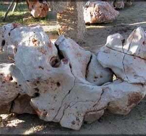 Sassi da giardino economici in pietra dura